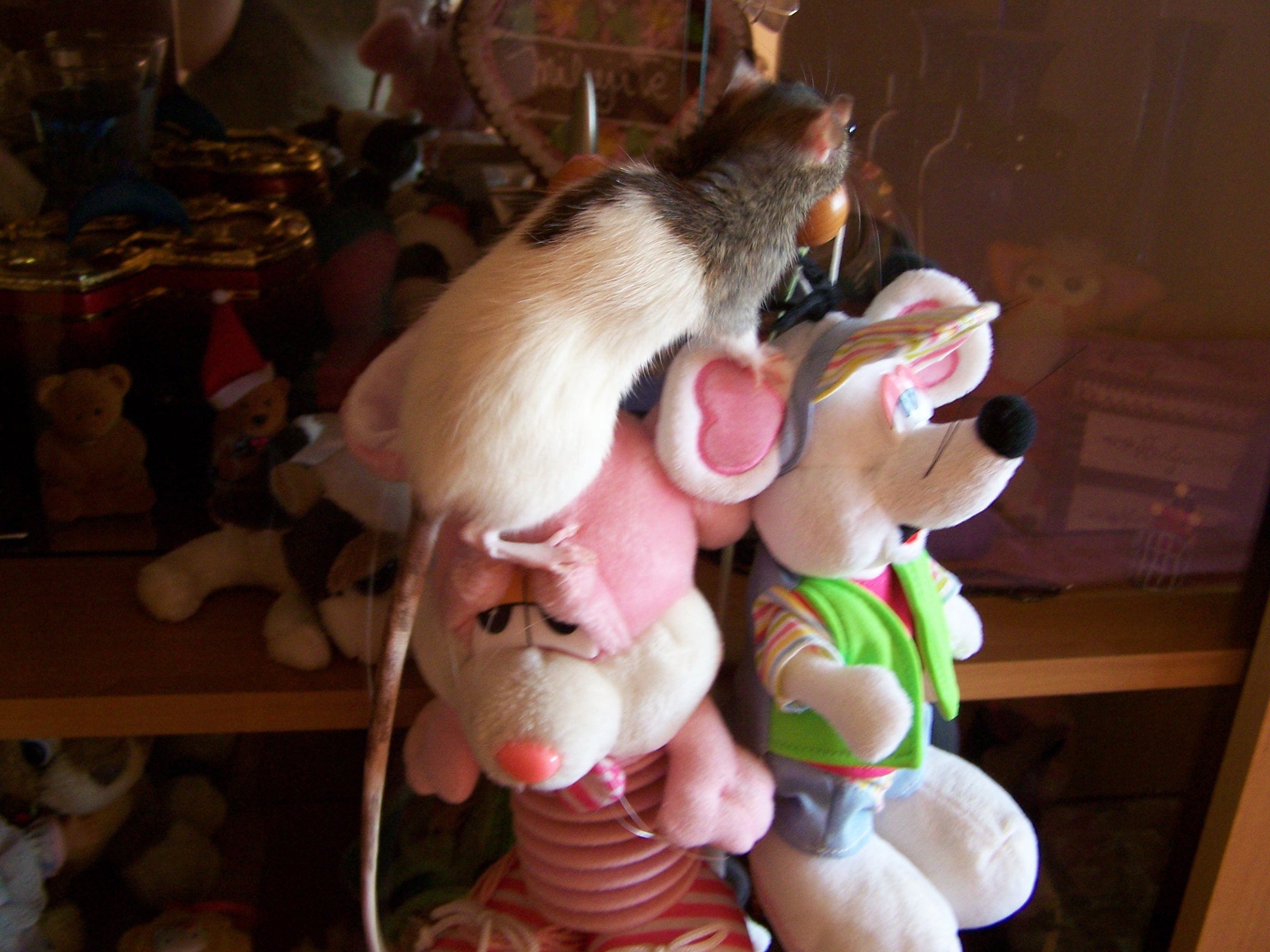100_5183.JPG