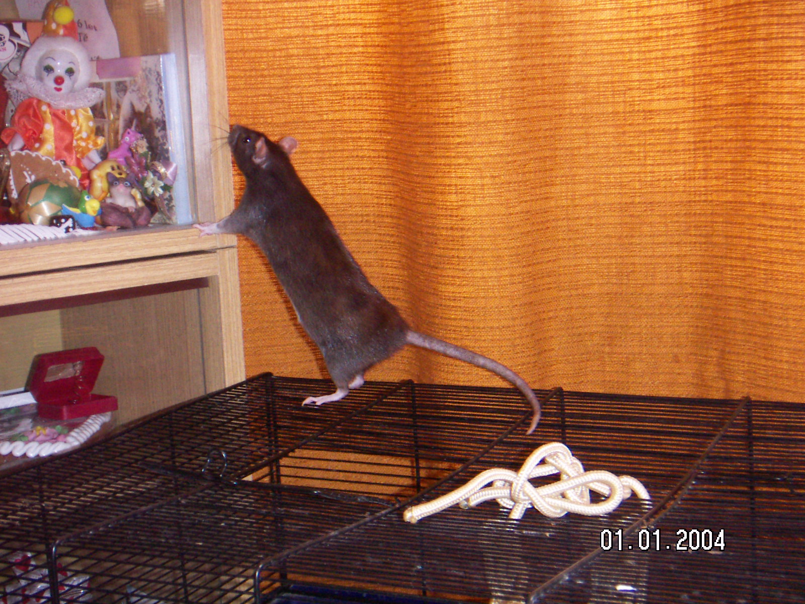 4.8.2005 062.jpg